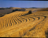 Washington is concerned about China's acquisition of farms in North Dakota because of national security reasons