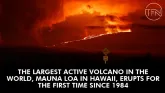 The largest active volcano in the world, Mauna Loa in Hawaii, erupts for the first time since 1984