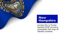 New Hampshire success for a Trump loyalist GOP primary completes the map of Senate contests.